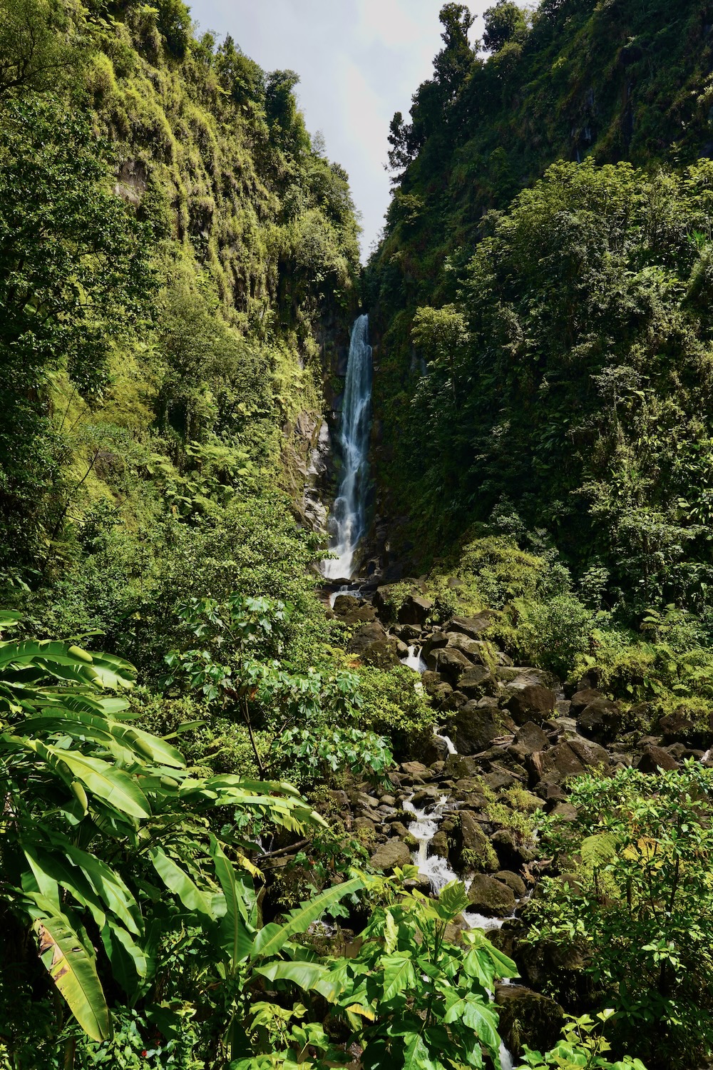 Trafalgar op Dominica