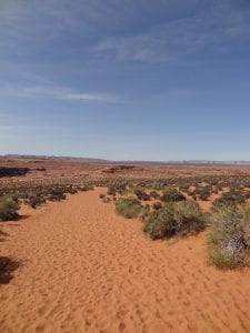 Trail naar Horseshoe Bend