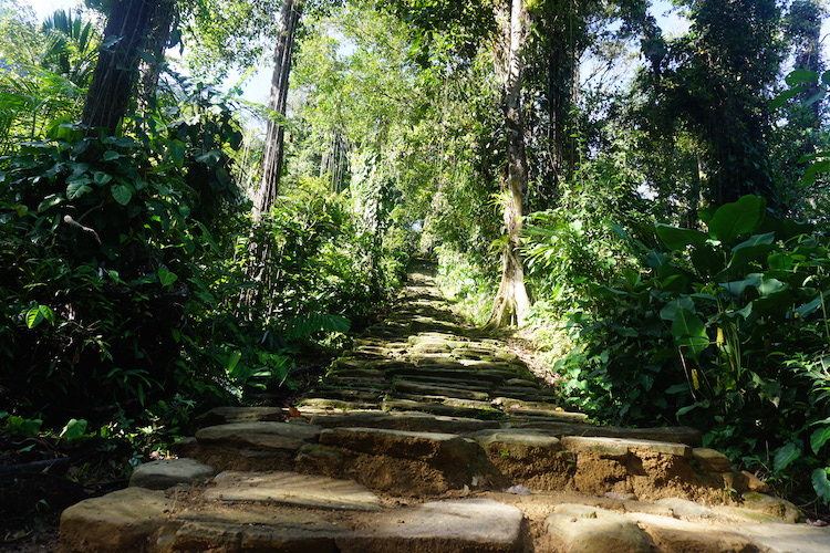 Trappen naar verloren stad in Colombia