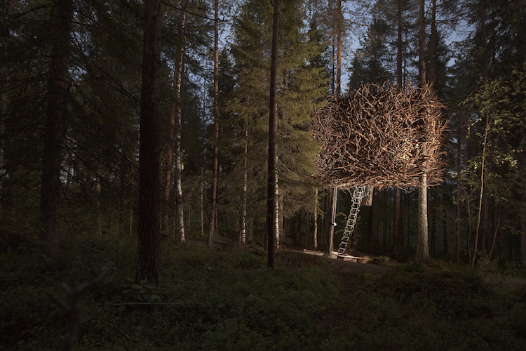 Treehotel zweden The Birds Nest