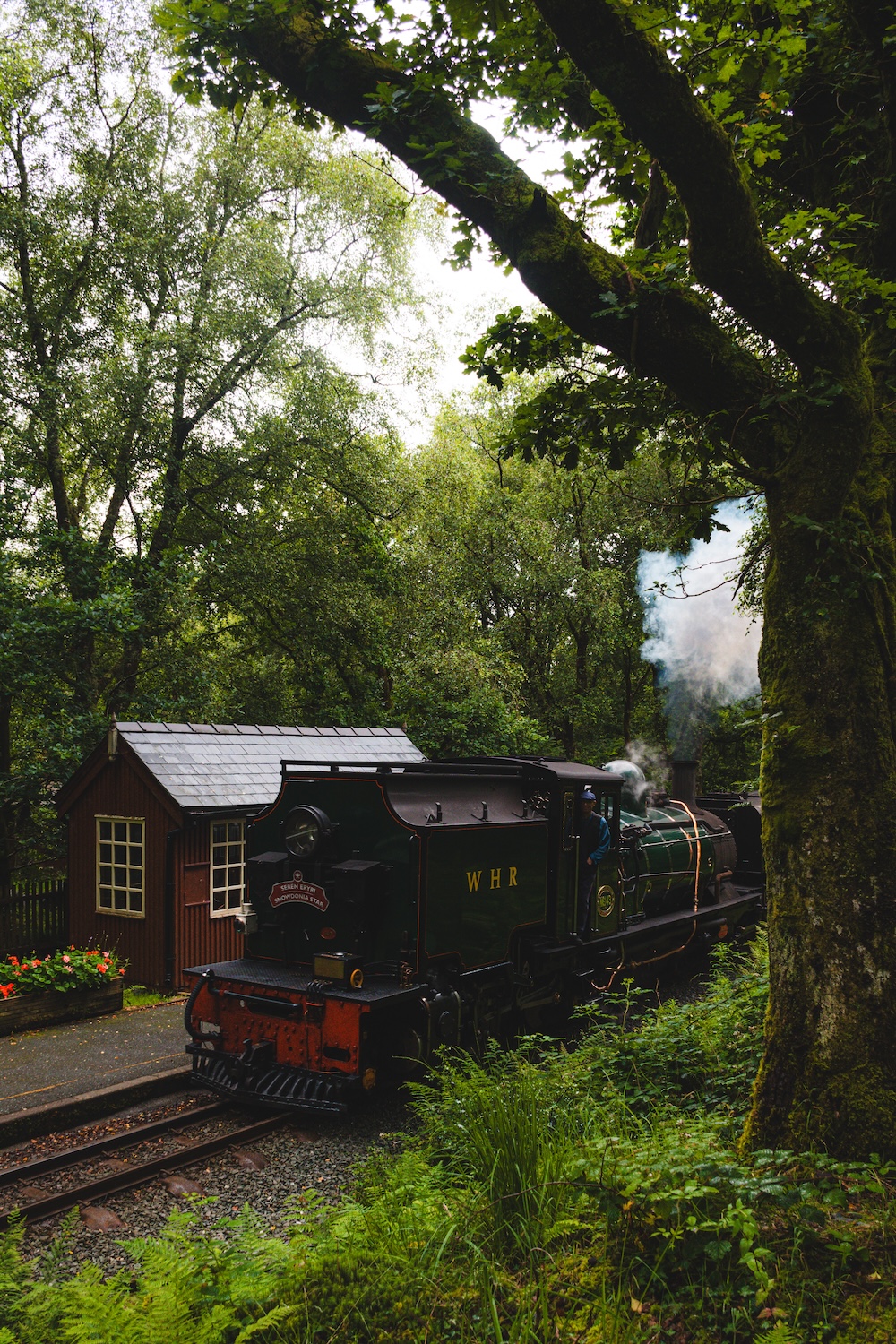 Treintje door Beddgelert, snowdonia