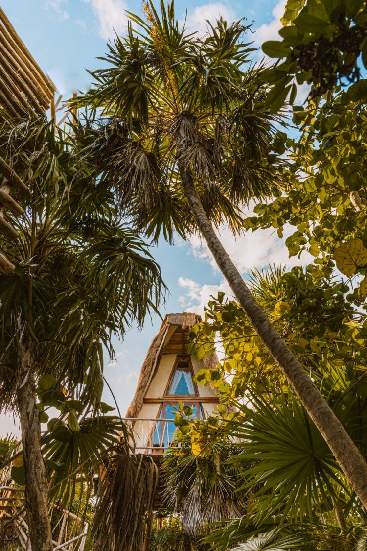 Tulum Ikal boomhut