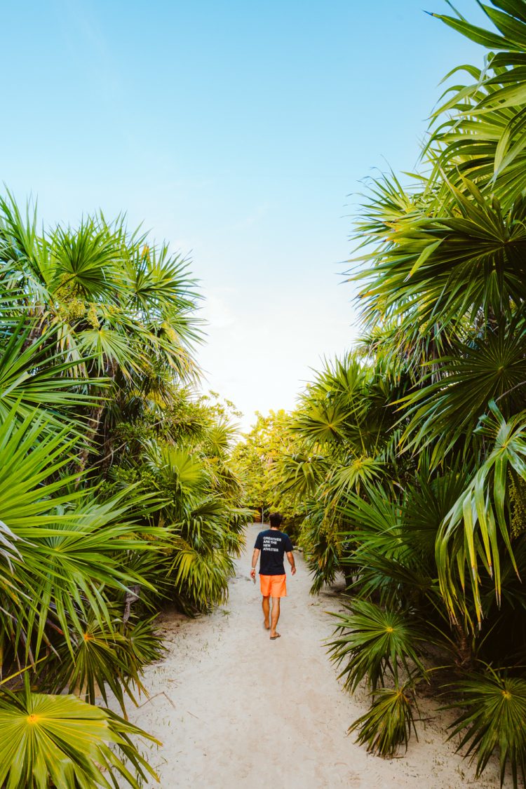 Tulum pad naar boomhut