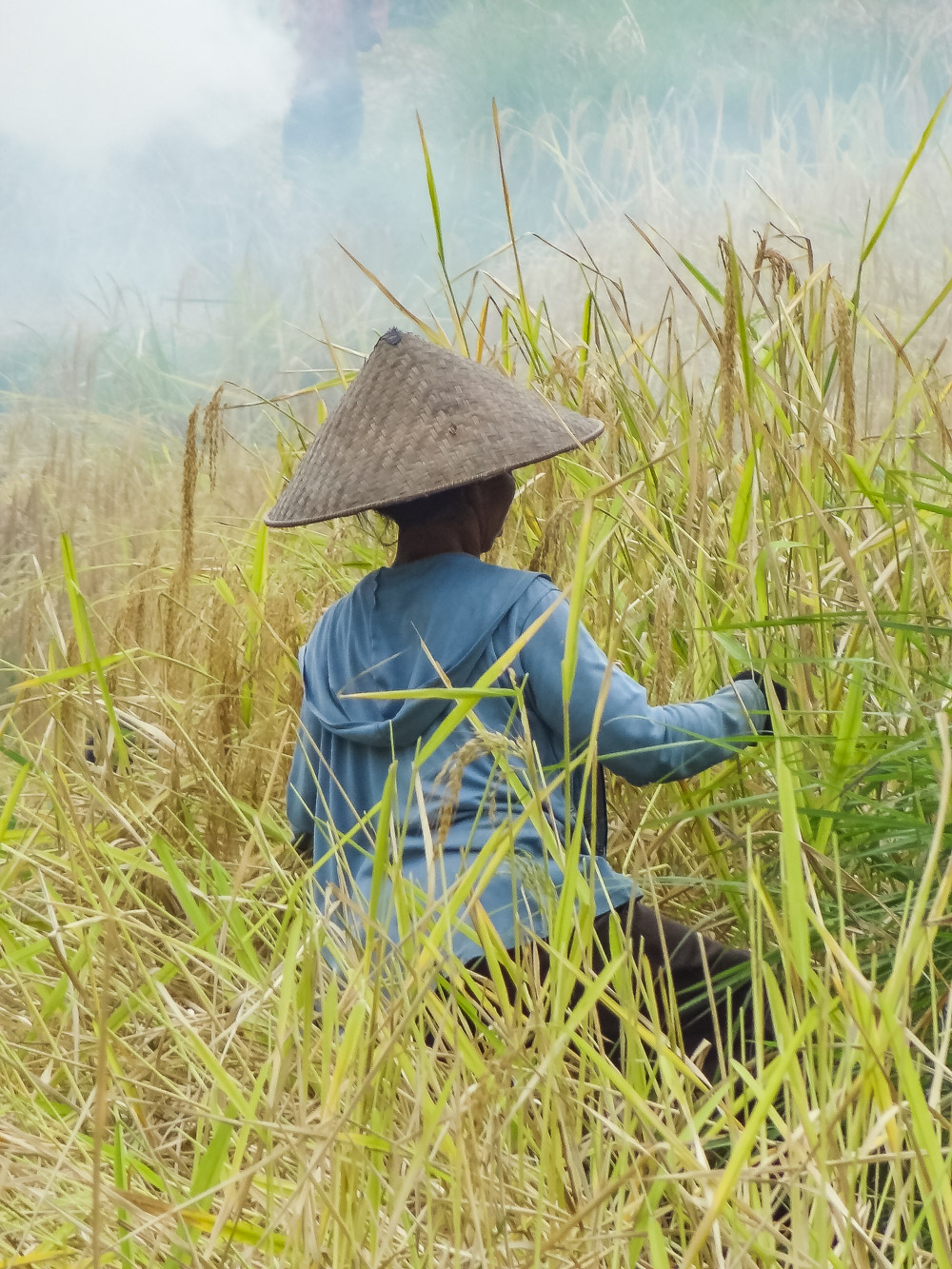 Ubud rijstvelden bali tegalalang_