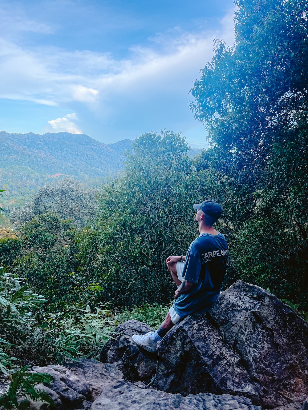 Uitkijkpunt Taman Negara