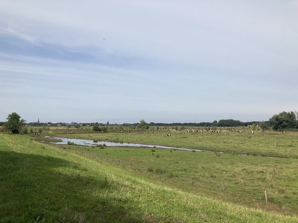 Uitzicht over de Maas