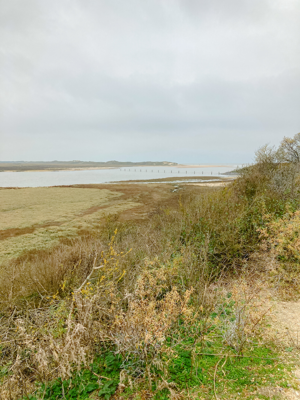 Uitzicht wandelen in Zeeland