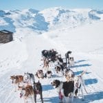 Val Thorens activiteiten huskytocht slee