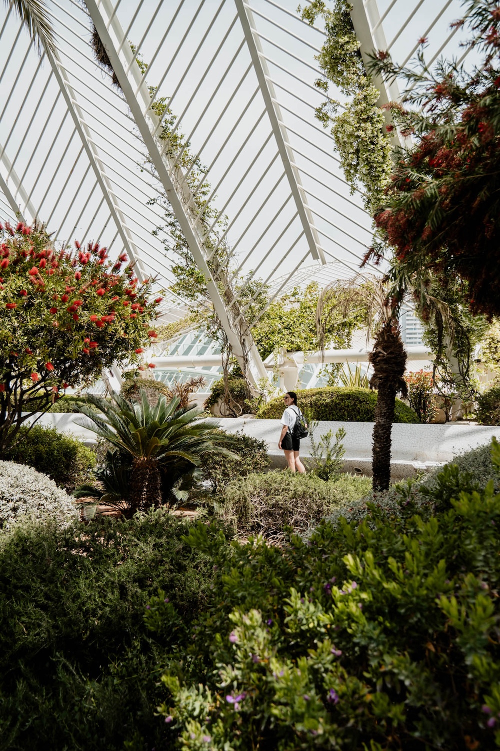 Valencia Umbracle