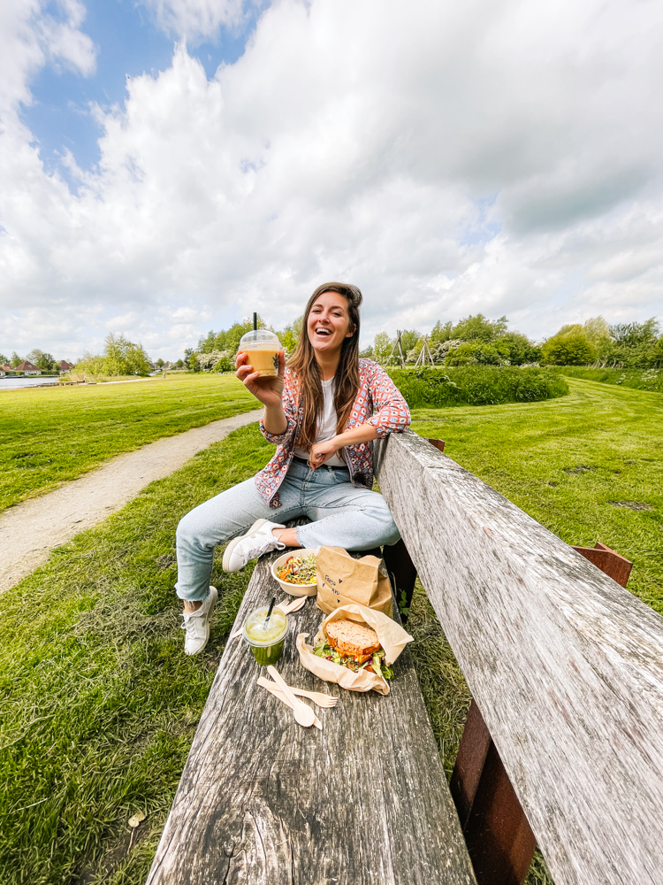 Varen in friesland picknicken