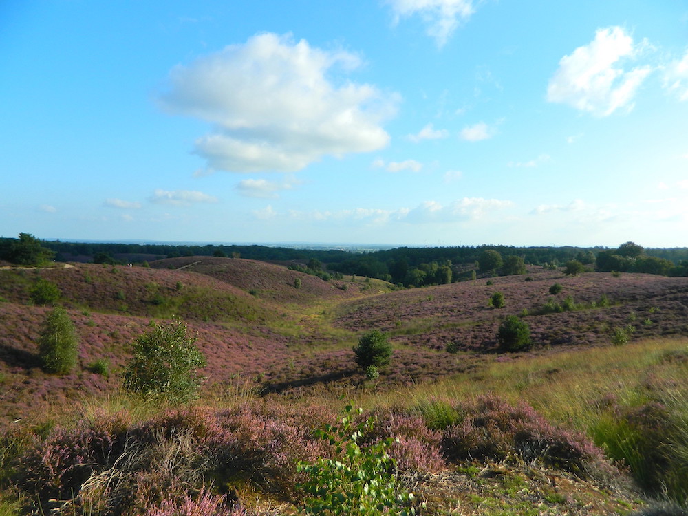 Veluwe, leuke uitjes Nederland 