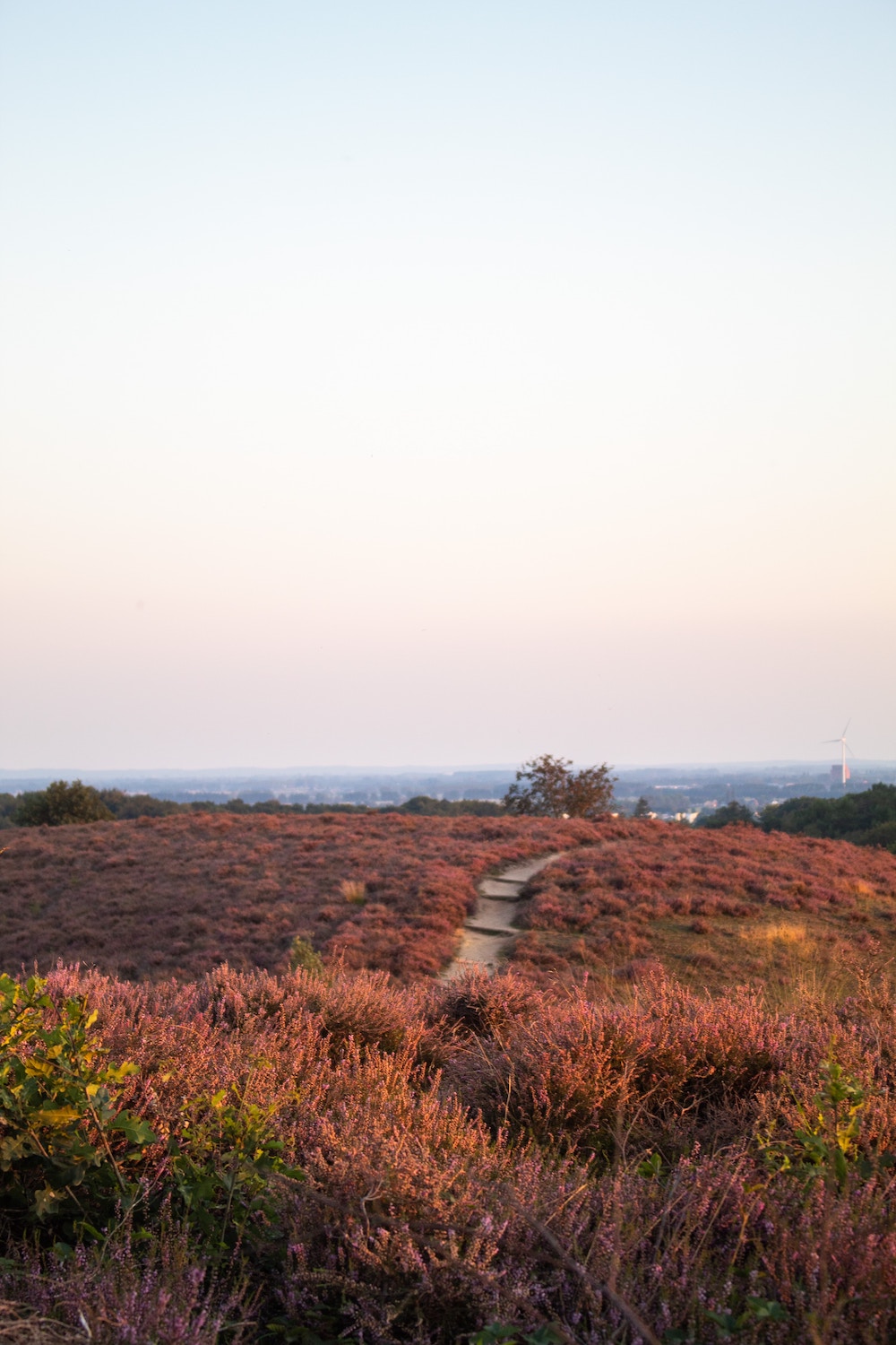 Veluwezoom, NS-wandeling