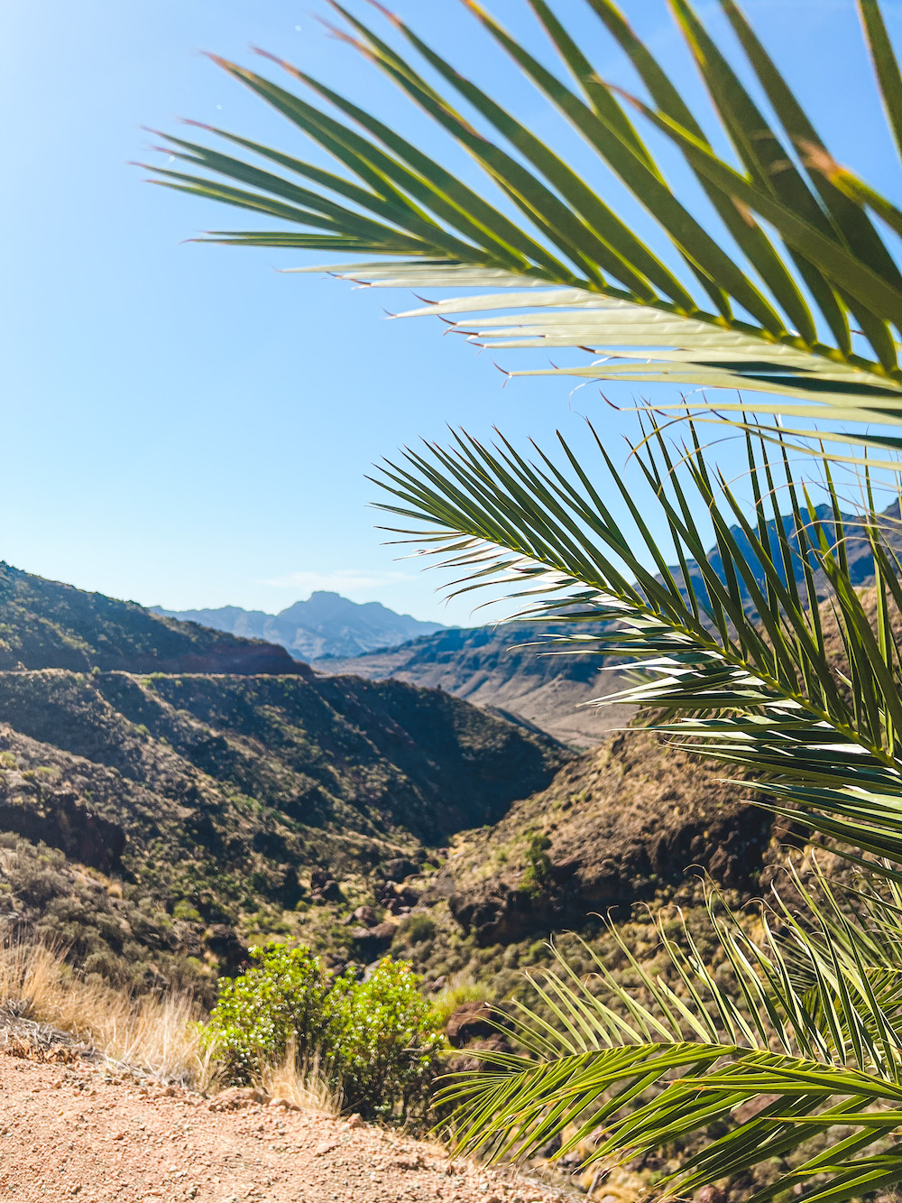 Veneguera Viewing Point gran canaria