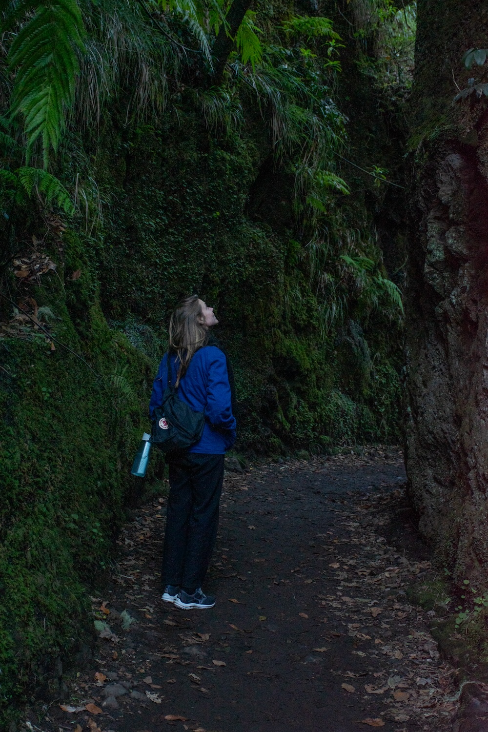 Vereda dos Balcões, Madeira