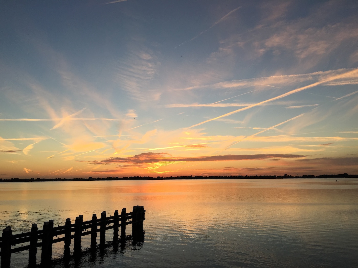 Vinkeveense Plassen Zomers Watervertier