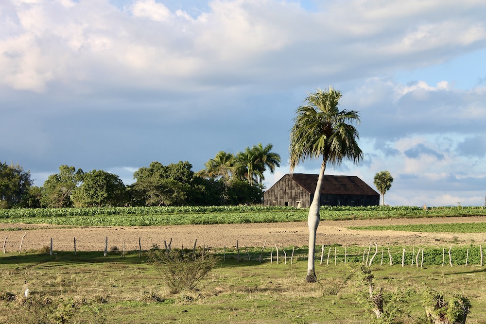 Viñales in Cuba