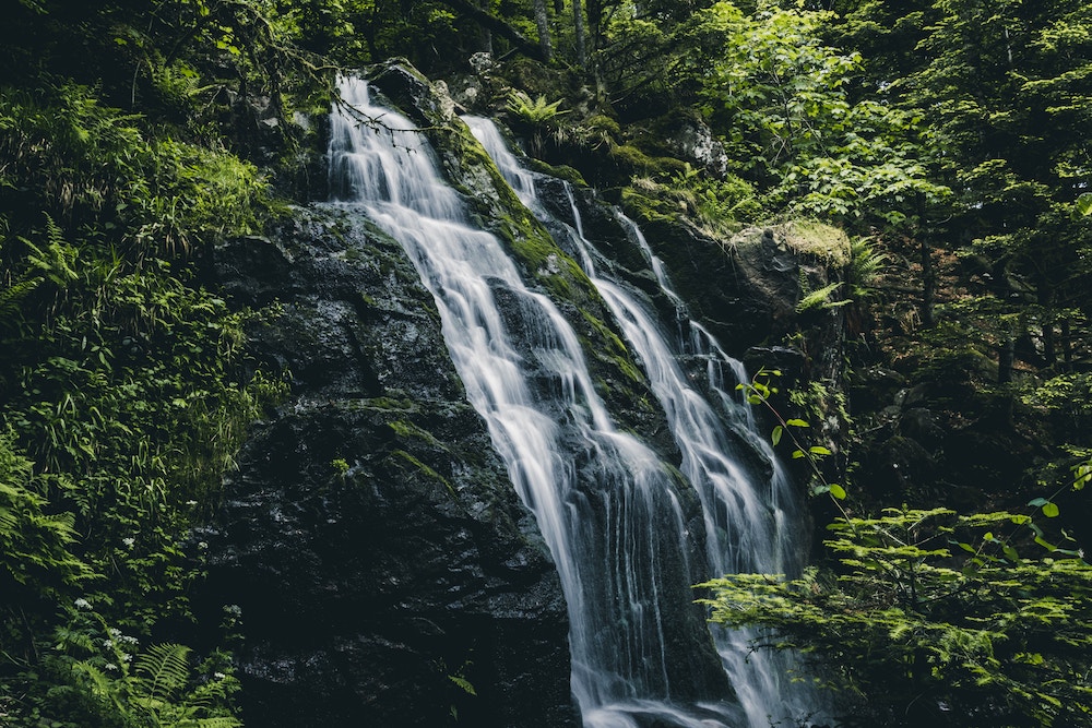 Vogezen frankrijk natuur Cascade de Tendon