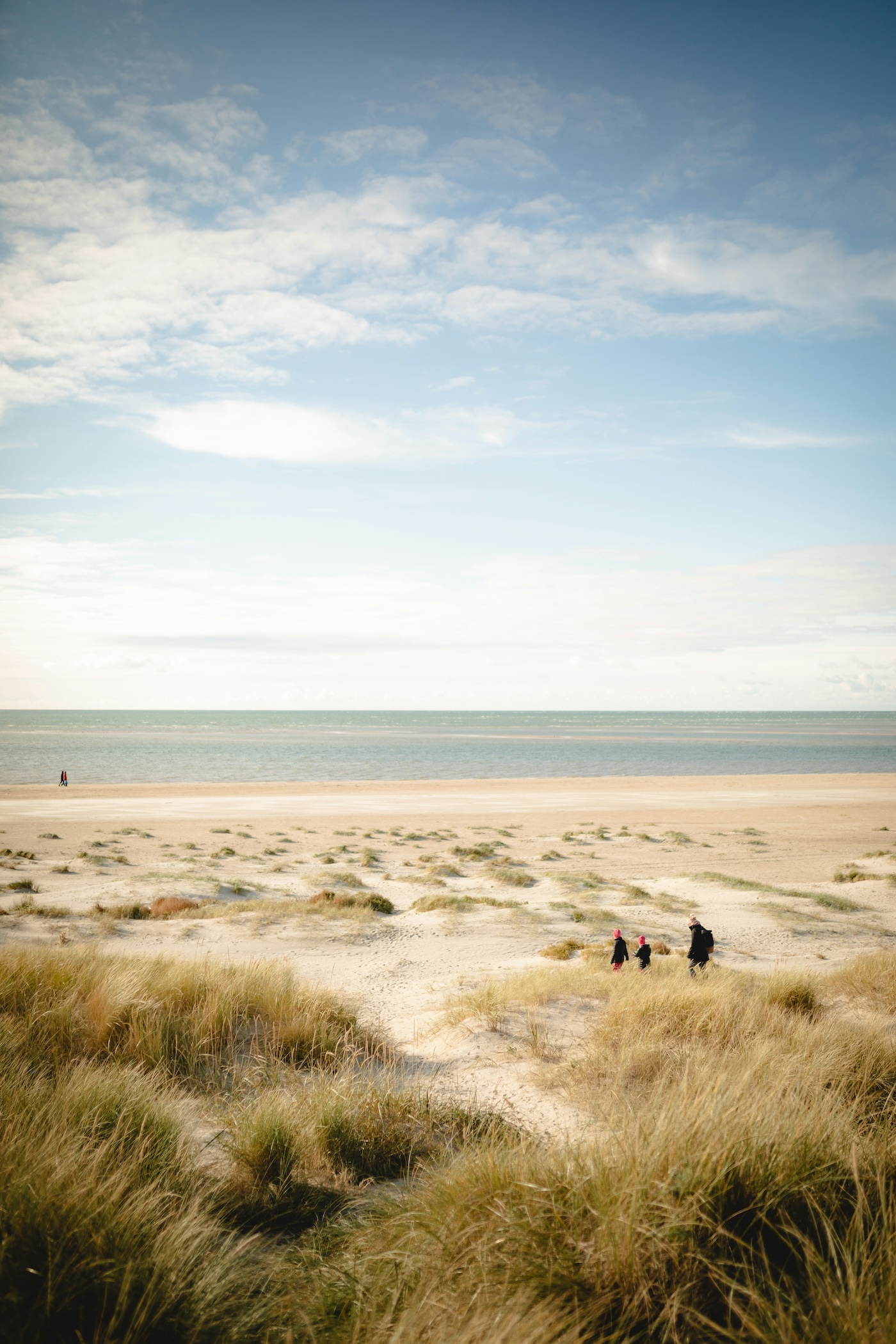 Waddenzeekust van Denemarken