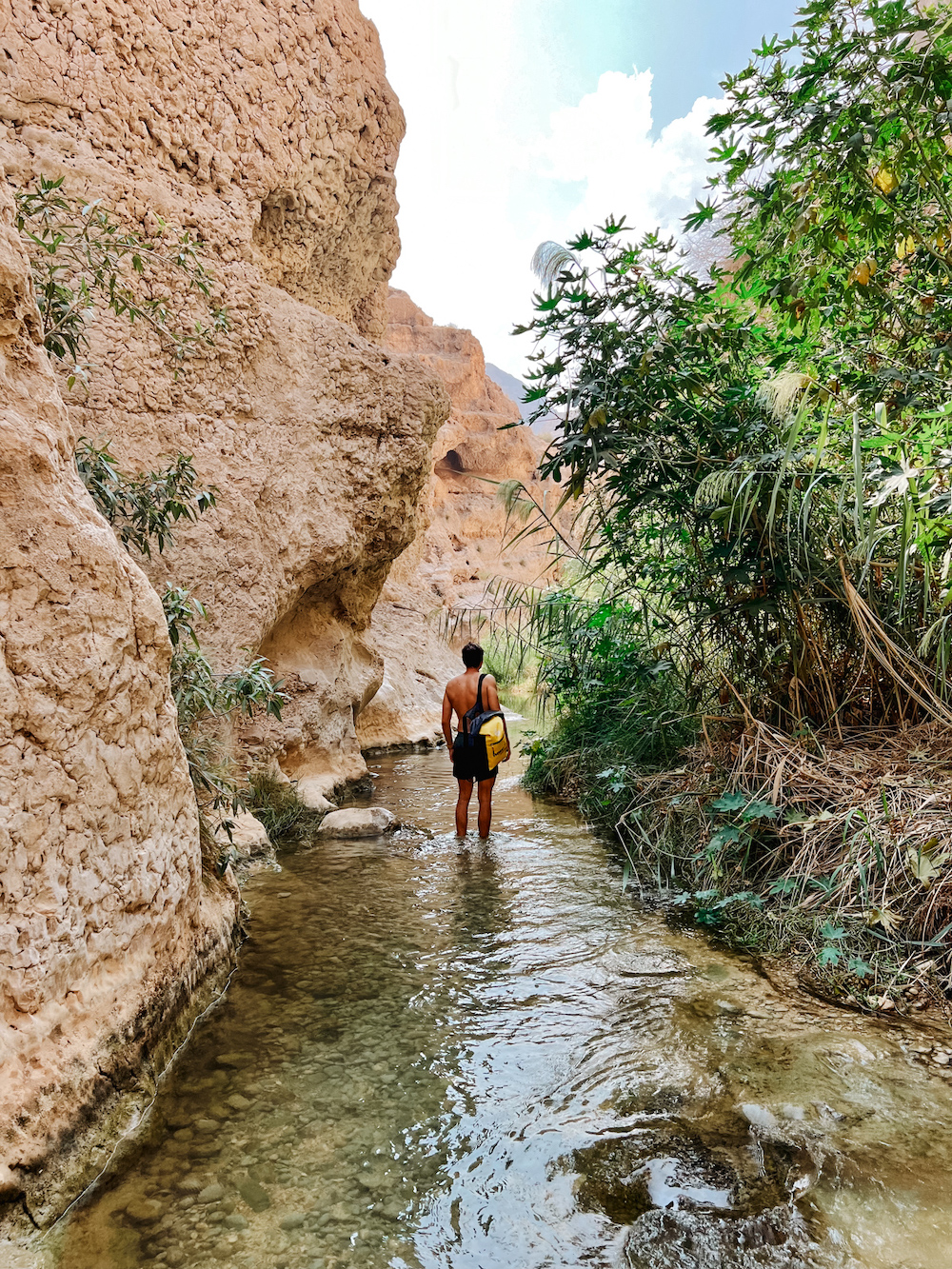 Wadi Shab-3