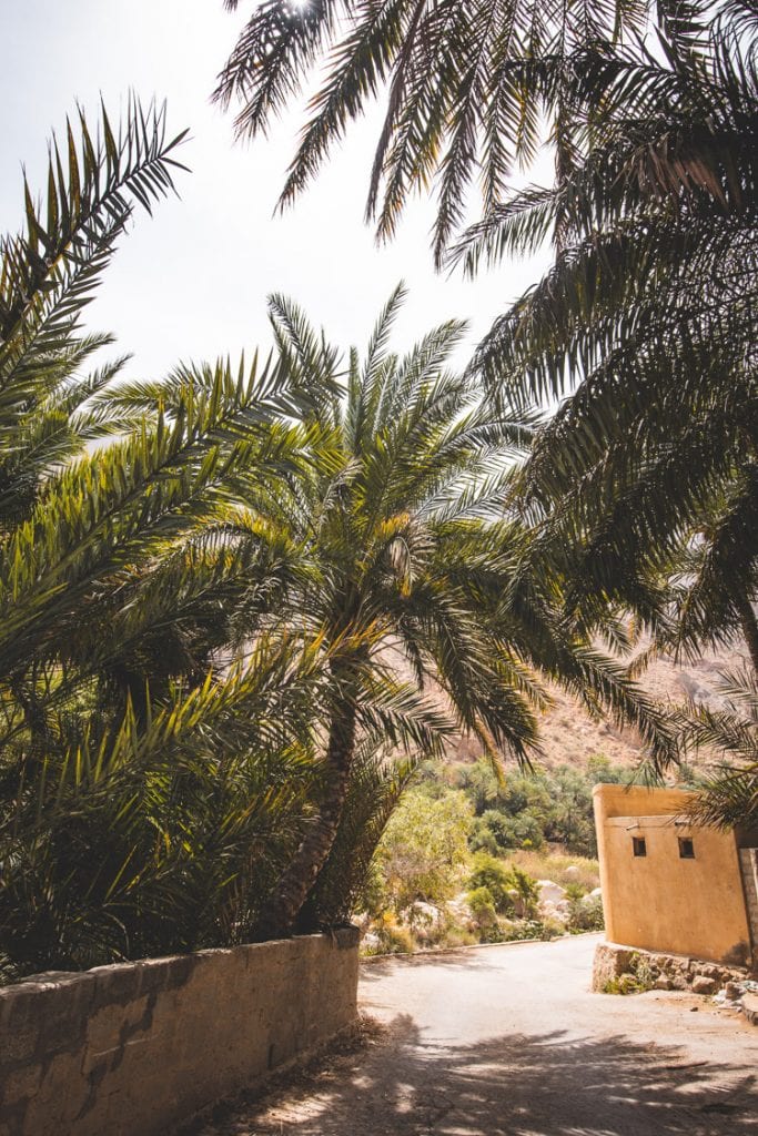 Wadi Tiwi Oman