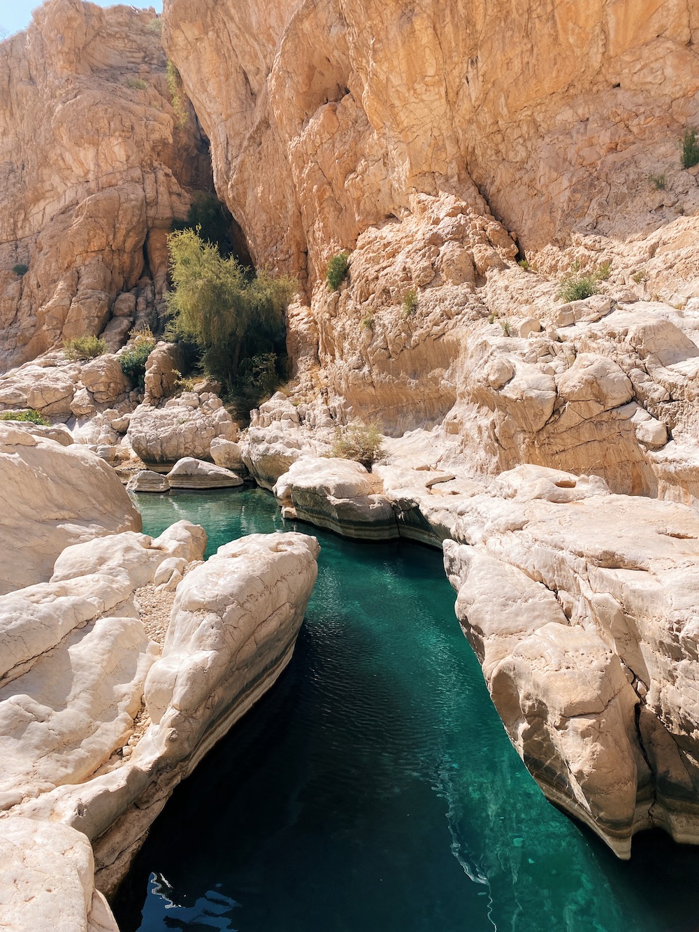 Wadi bani khalid oman bezienswaardigheden