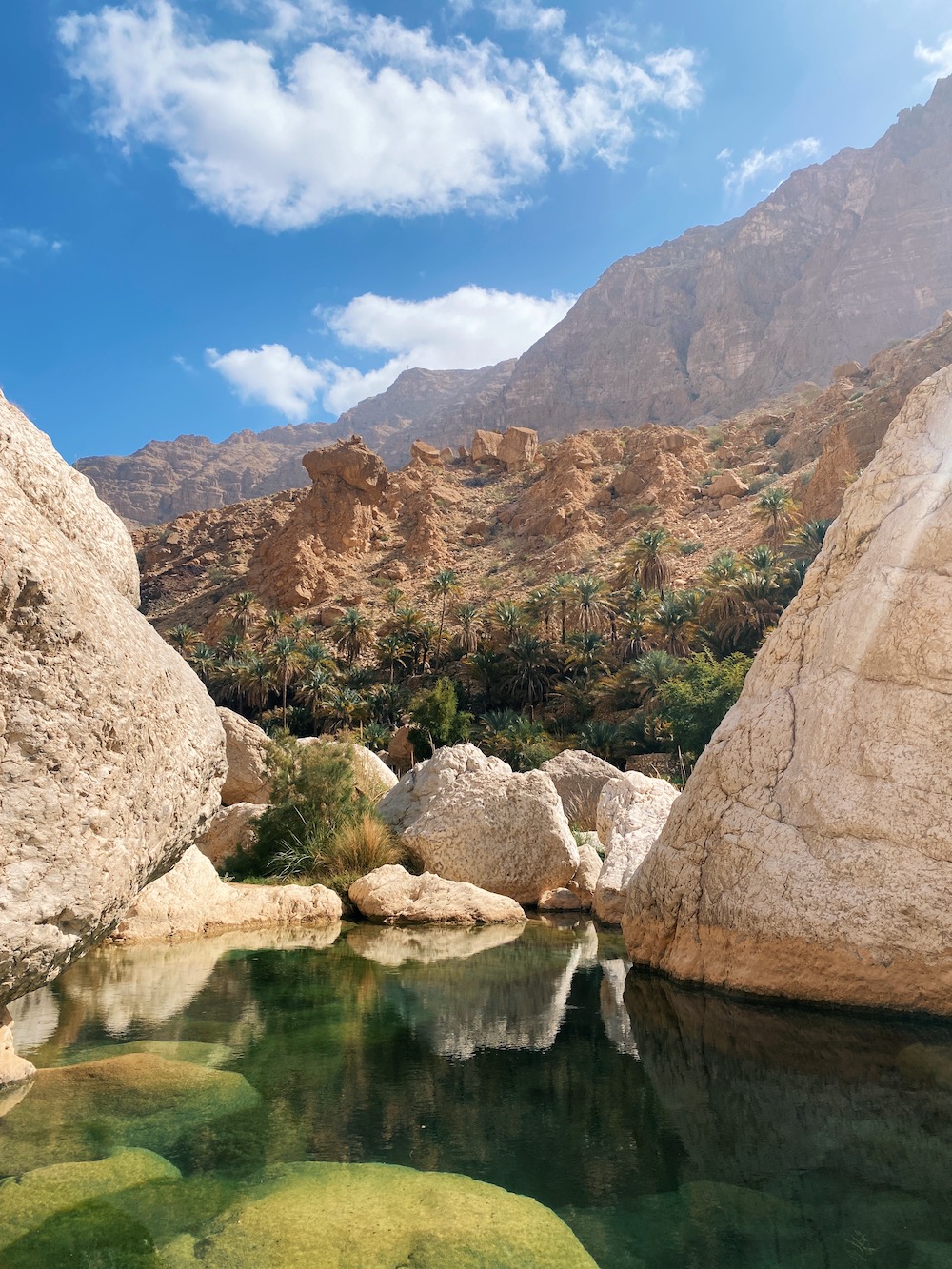 Wadi tiwi