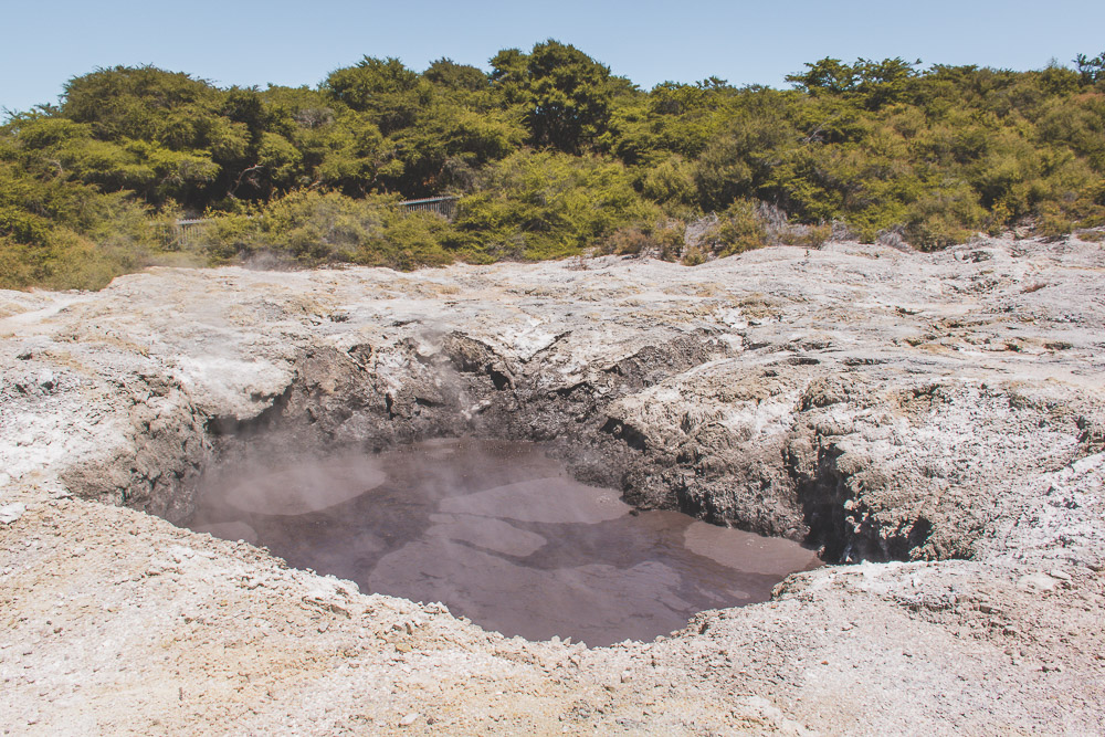 Wai-O-Tapu Thermal Wonderland modderpoel