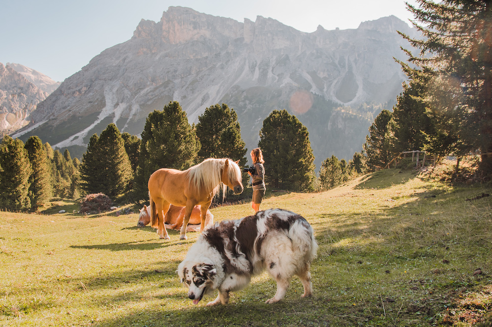 Wandelen Dolomieten Puez Geisler Aica