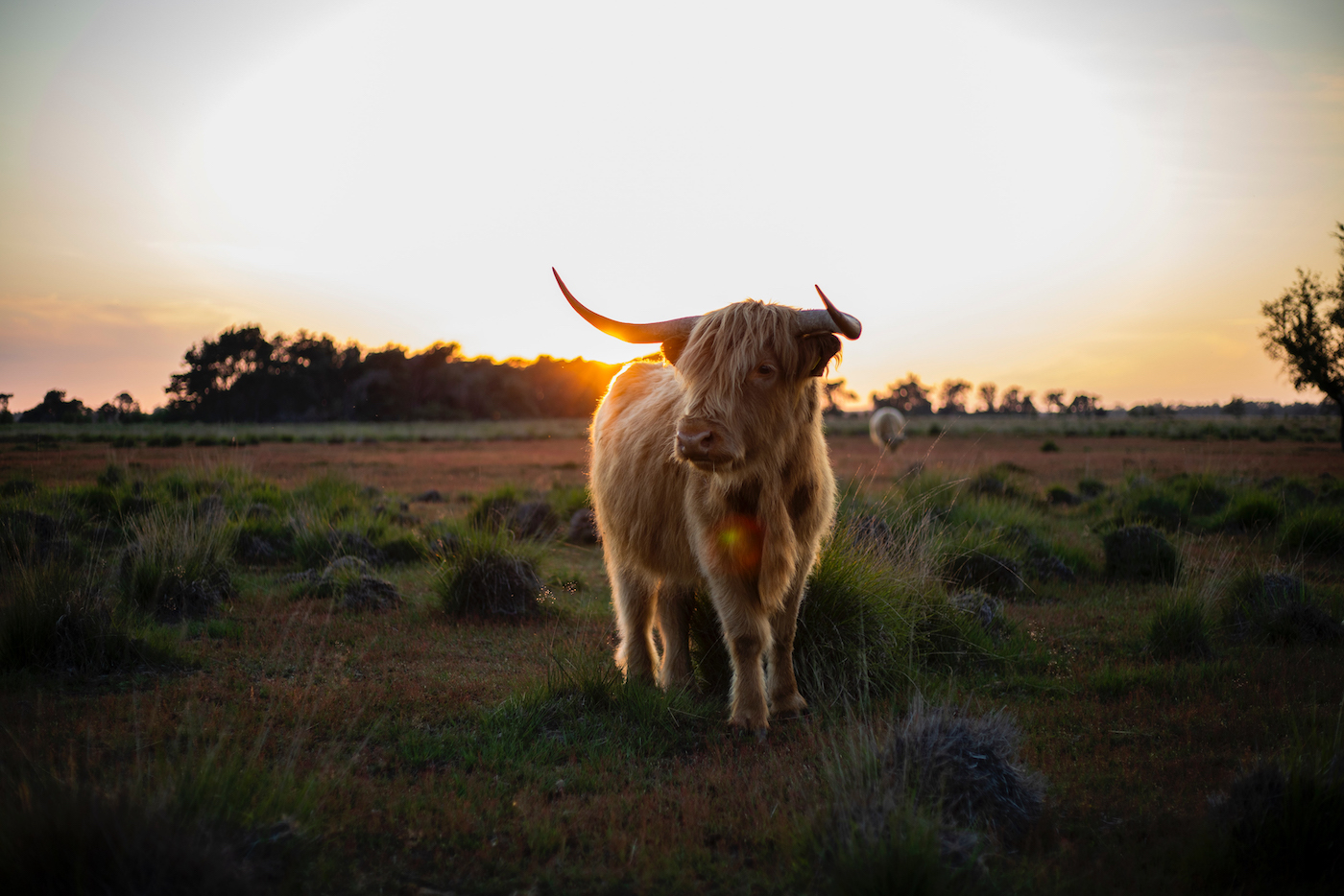 Wandelen Eindhoven, Strabrechtse Heide