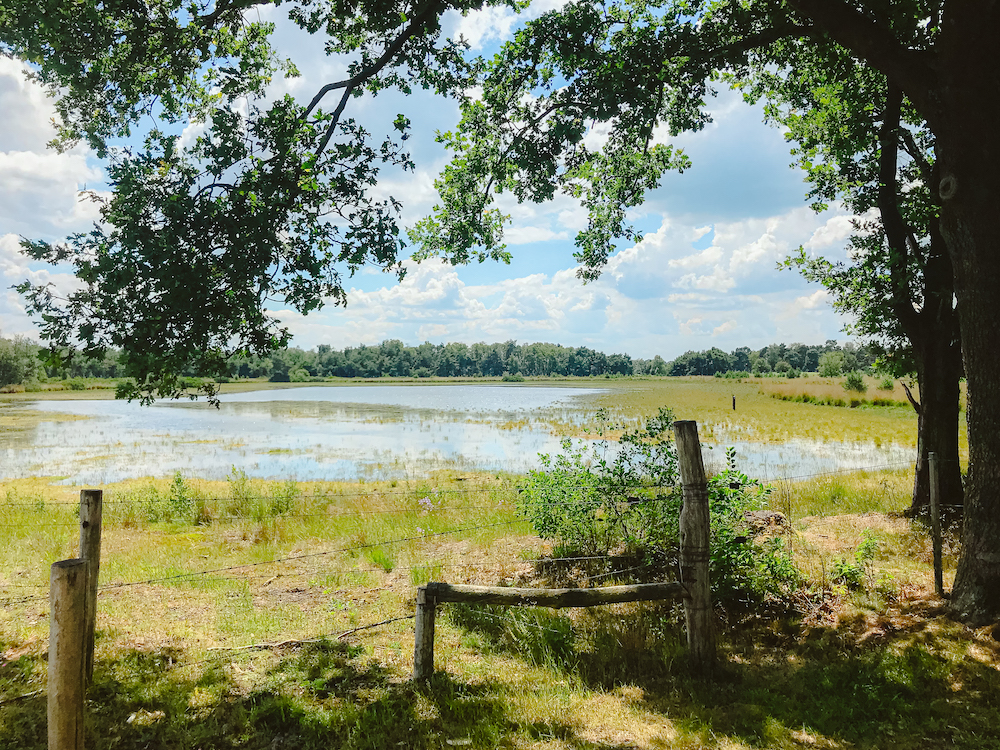 Wandelen Eindhoven