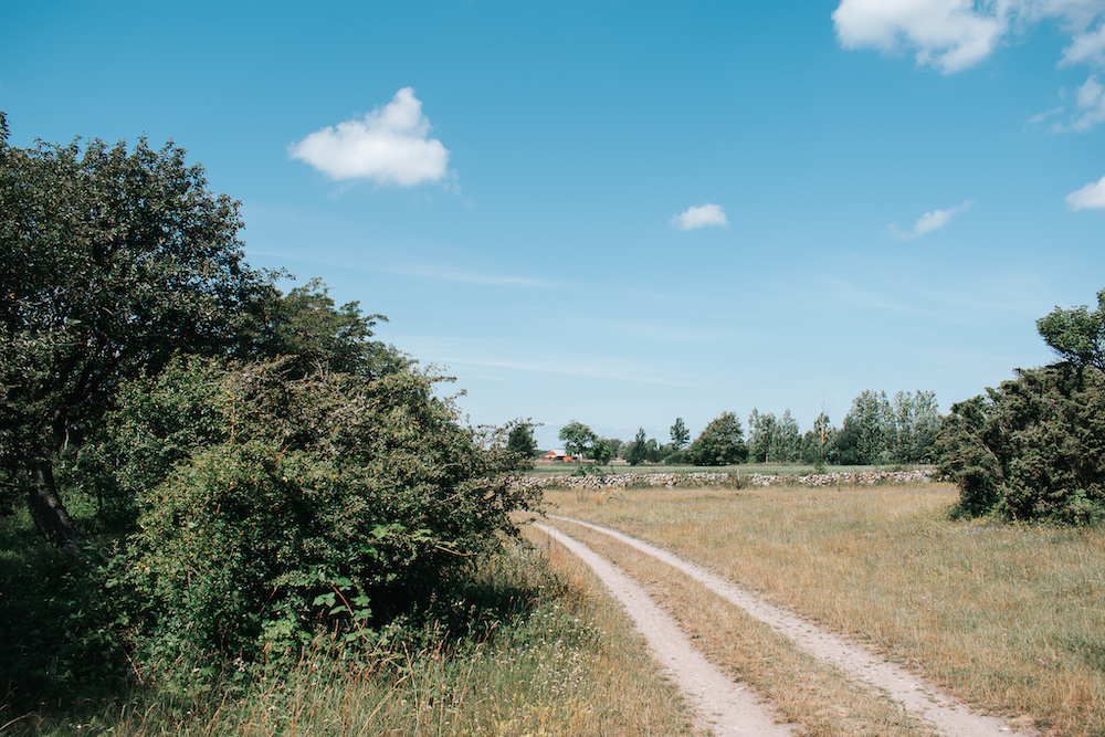 Wandelen Öland, Zweden