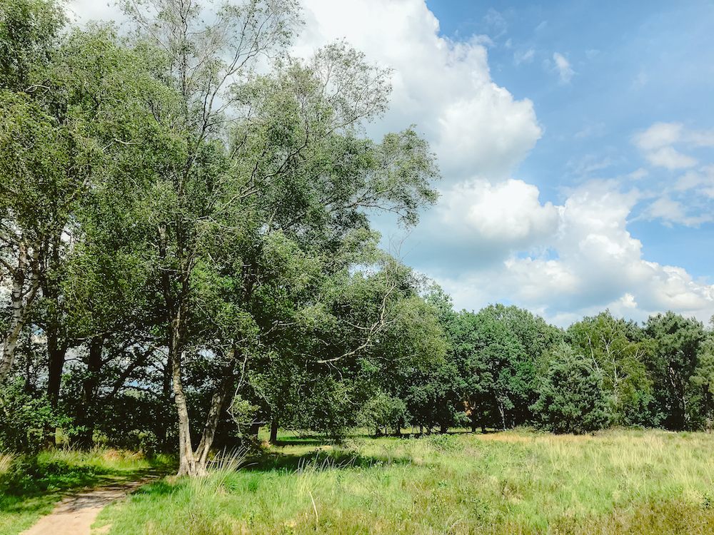 Wandelen in Eindhoven