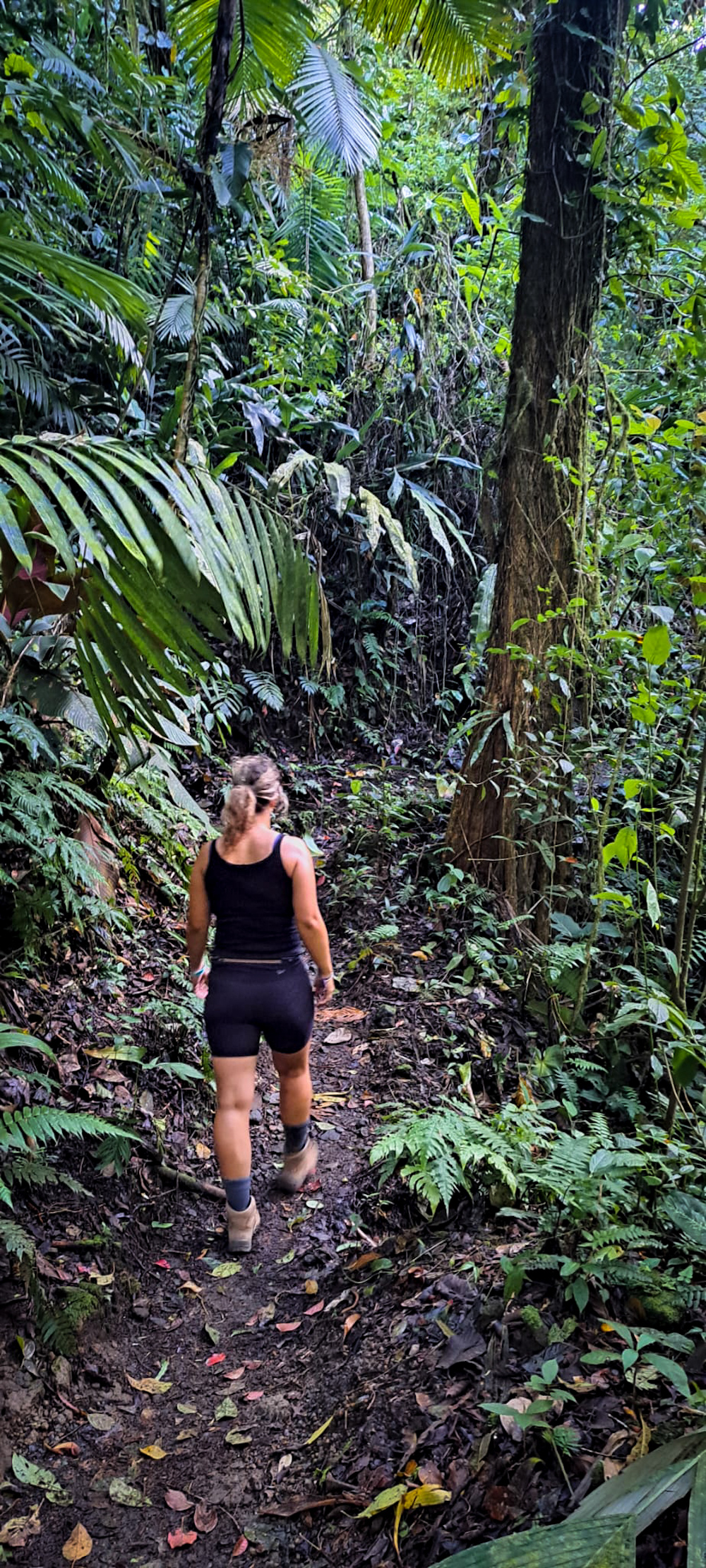 Wandelen in La Fortuna