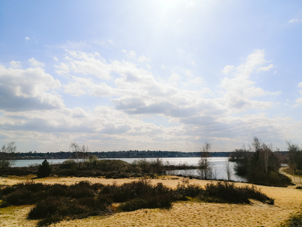 Wandelen langs het Reindersmeer Maasduinen limburg