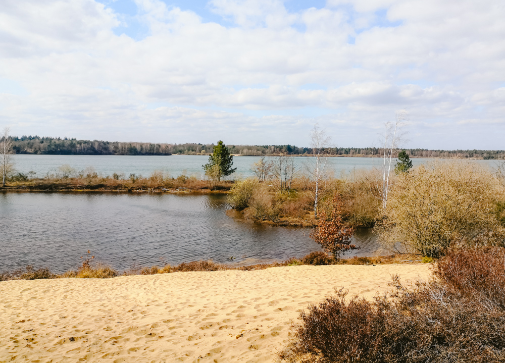 Wandelen langs het Reindersmeer maasduinen