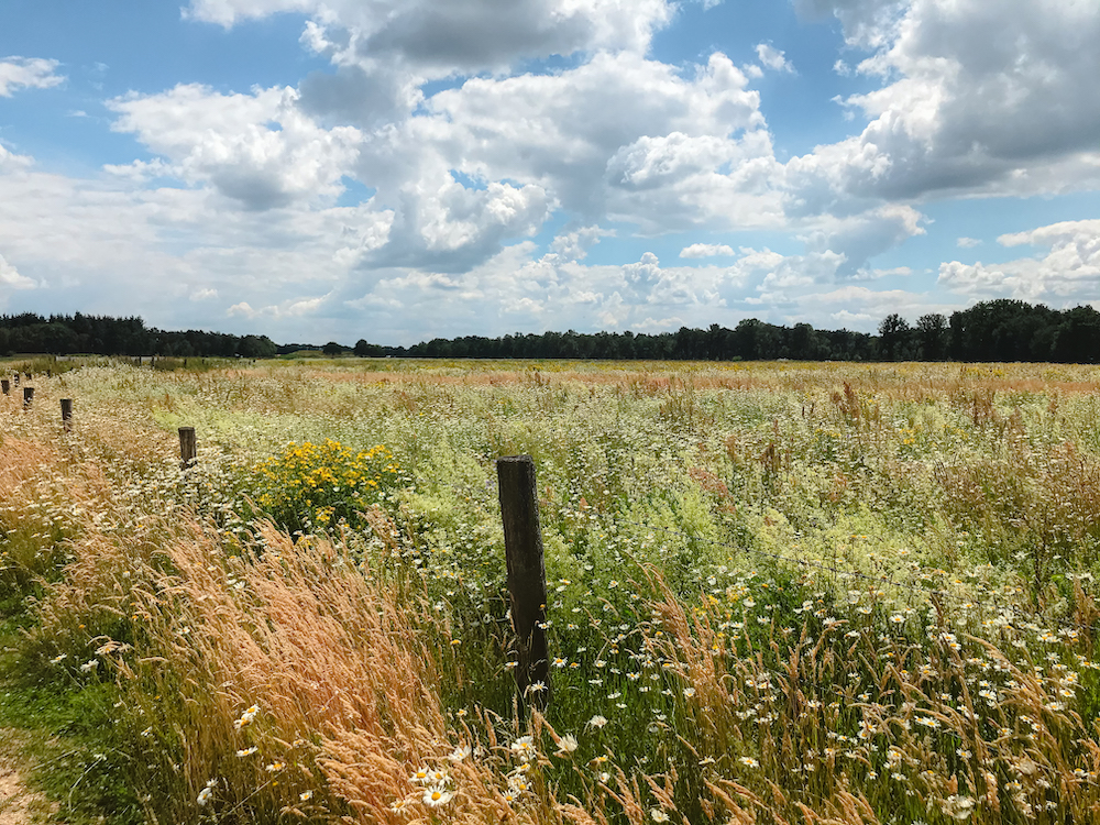 Wandelen omgeving eindhoven