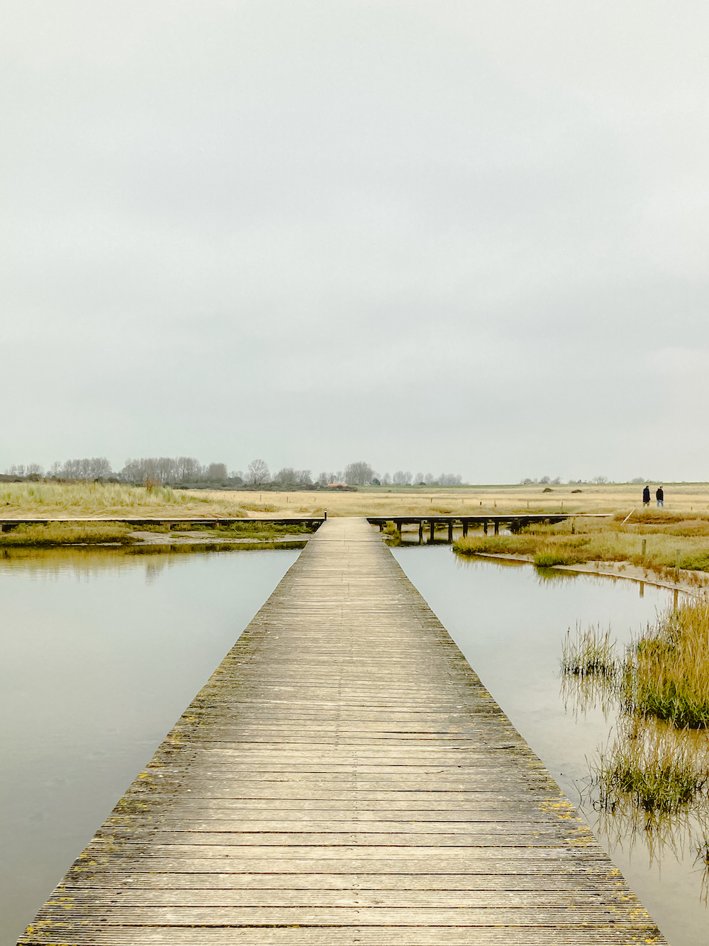 Wandelen over steiger in Zeeland