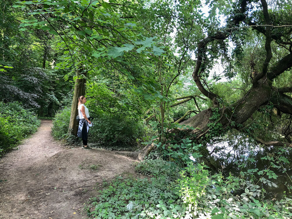 Wandeling rondom Elsloo stein