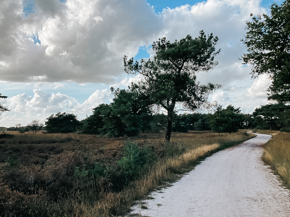 Wandelroutes Regte Heide