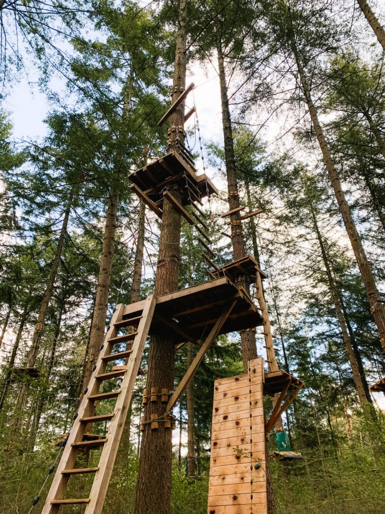 Wat doen in Achterhoek klimbos Ruurlo-3