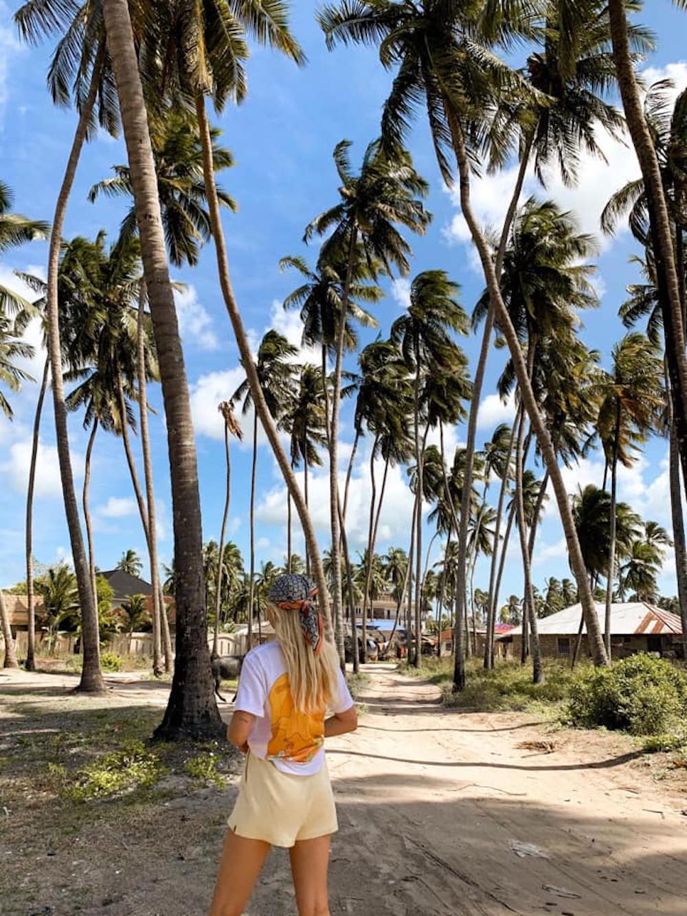 Wat te doen Zanzibar, dagtripje