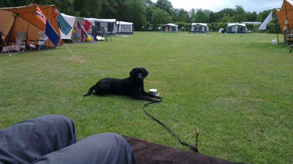 Wat te doen in Drenthe met kinderen