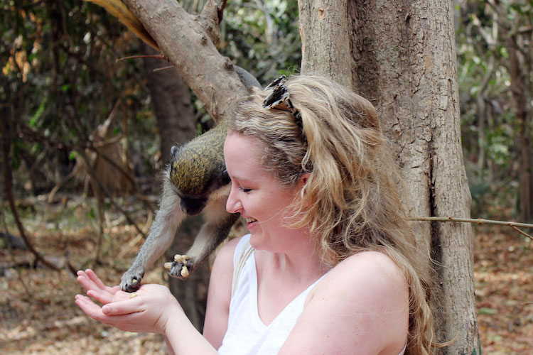 Wat te doen in Gambia Monkey Park voeren