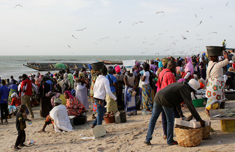 Wat Te Doen In Gambia? Deze Bezienswaardigheden Mag Je Niet Missen ...