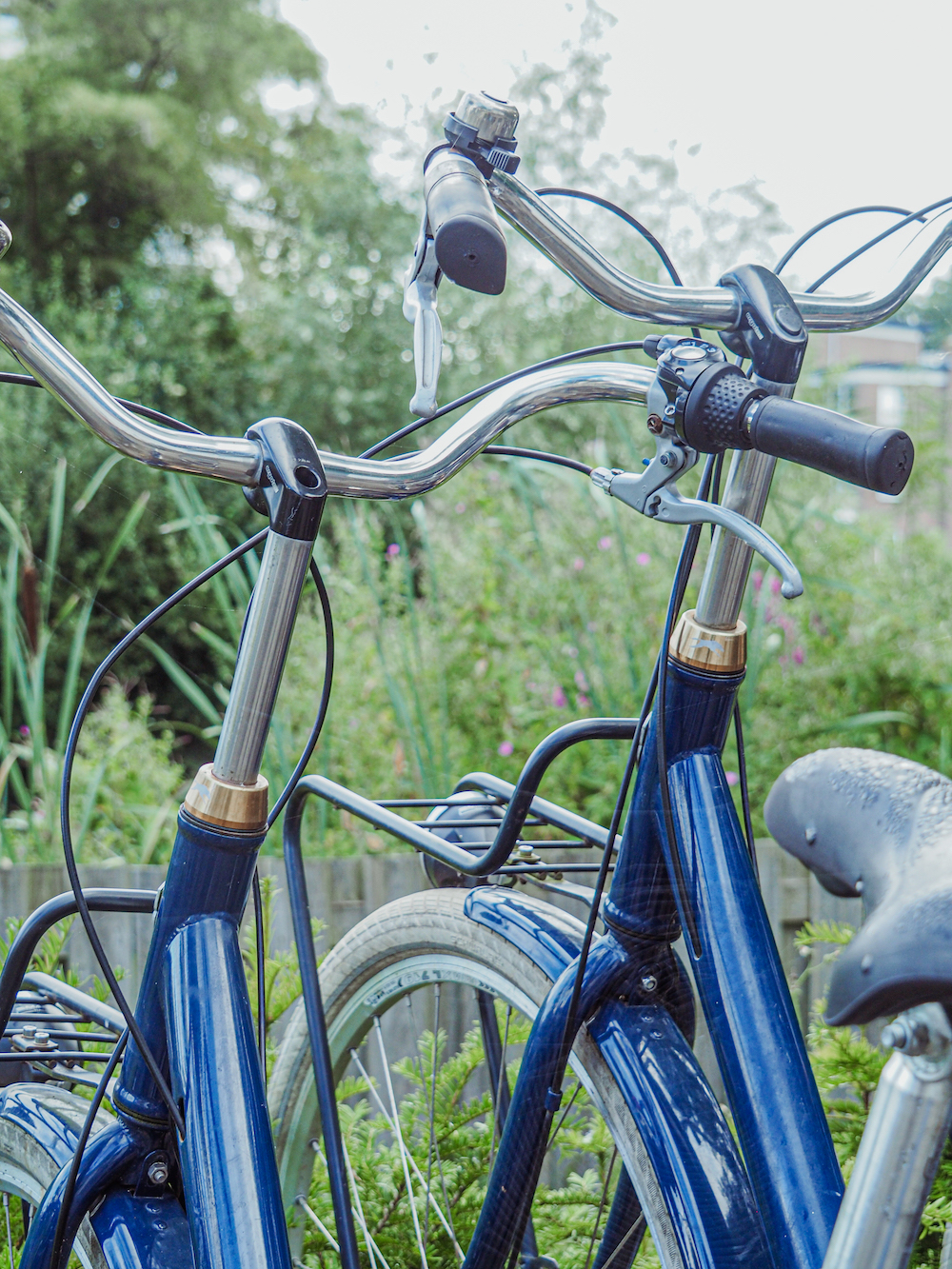 Wat te doen in Haarlem, fietsen