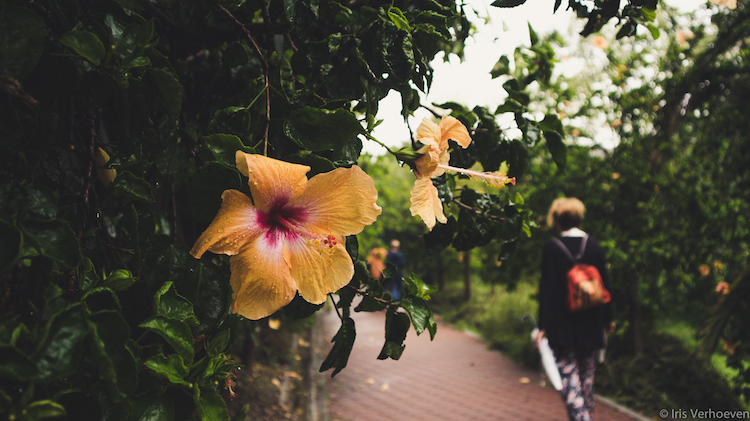 Wat te doen in Malaga botanische tuin