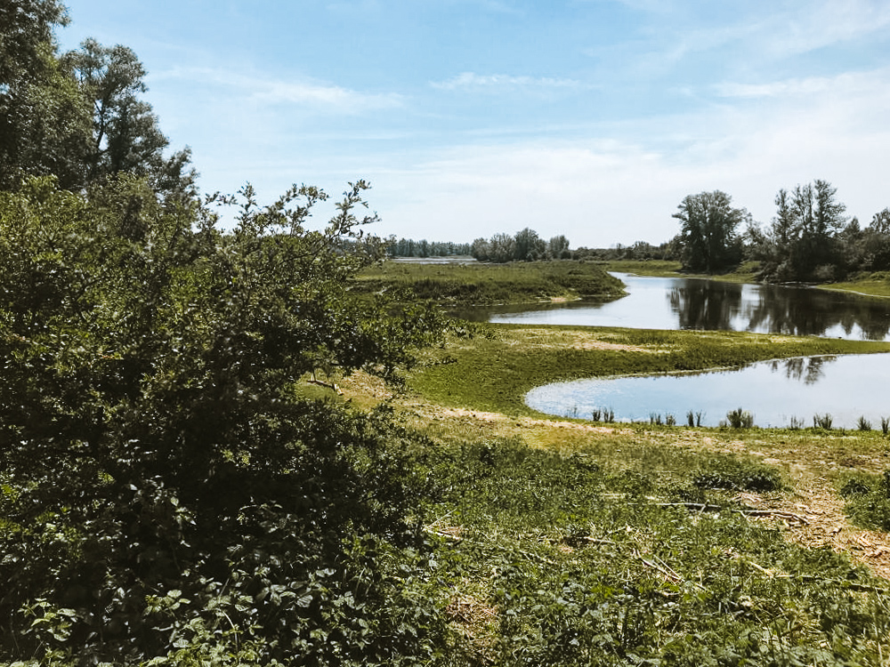 Wat te doen in Nijmegen Ooijpolder