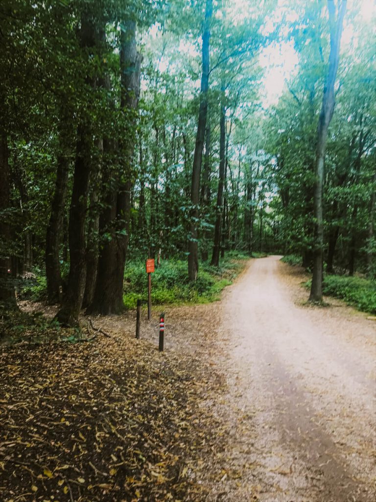 Wat te doen in Nijmegen wandelen duivelsberg