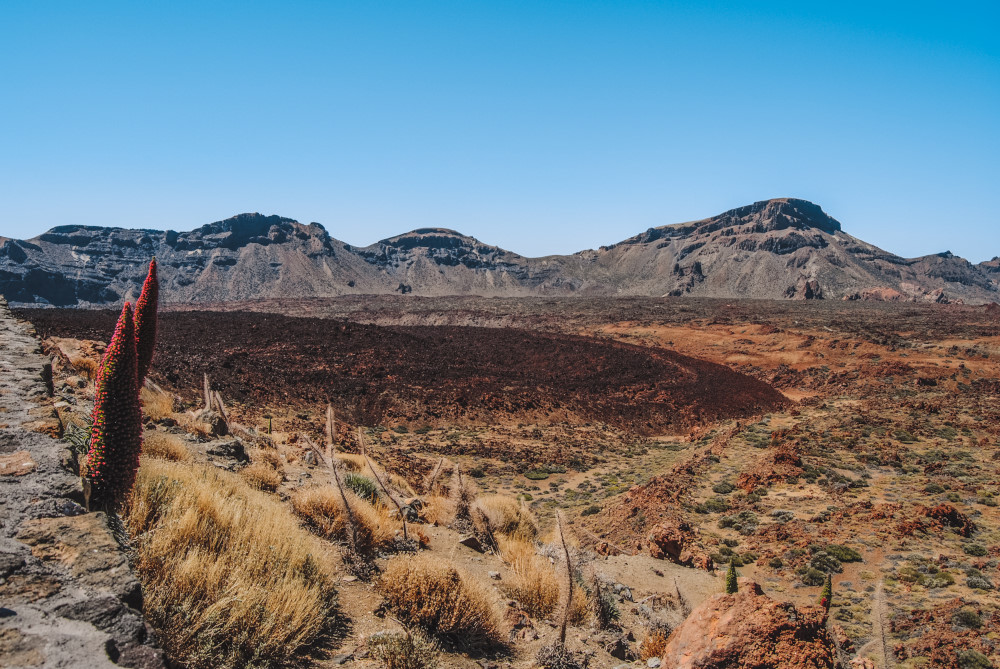 Wat te doen in Tenerife eiland