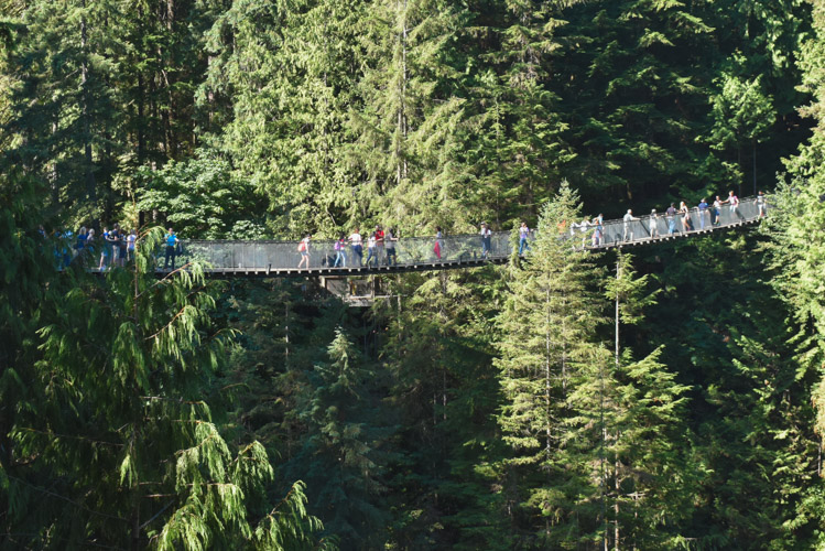 Wat te doen in Vancouver Suspension Bridge-2